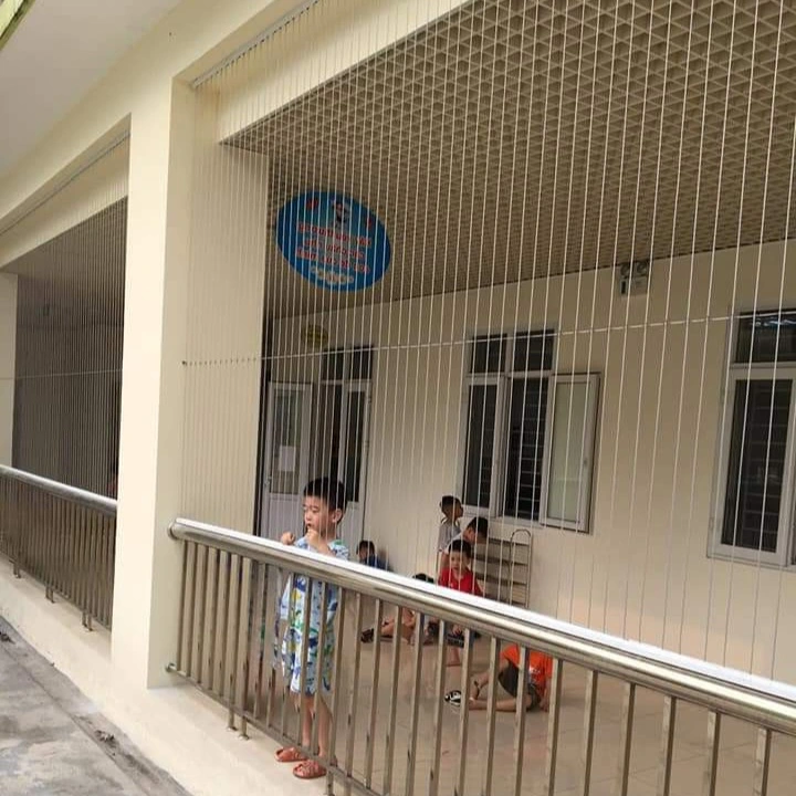 Lưới an toàn trường học